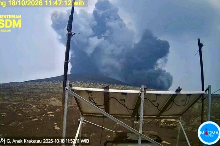 Gunung Anak Krakatau Erupsi 6 Kali dalam Sehari, Kolom Abu Hitam Tembus 500 Meter