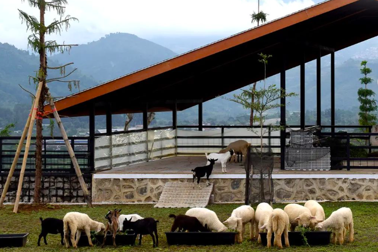 The Nice Funtastic Park Cianjur, salah satu wisata baru di Kabupaten Cianjur yang menyajikan wahana edukasi dan ekstrem dengan latar belakang panorama alam
