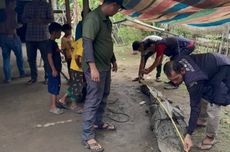 Warga Aceh Tamiang Tangkap Buaya Sepanjang 3 Meter
