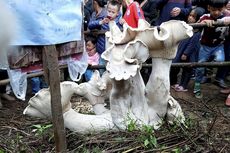 Ratusan Ribu Orang Meminta Keberuntungan dari Jamur Raksasa di China