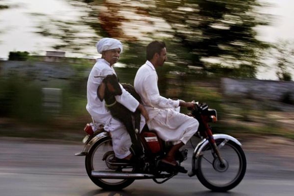 Dalam foto yang diambil pada Juni 2011 ini terlihat dua warga Pakistan tengah berboncengan menunggang sepeda motor sambil membawa kambing di pinggiran kota Lahore.