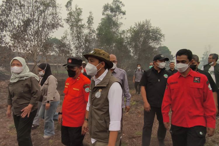 Menhut Minta Area Terbakar dalam Karhutla Dipasang Plang Larangan Ditanam Selama 5 Tahun