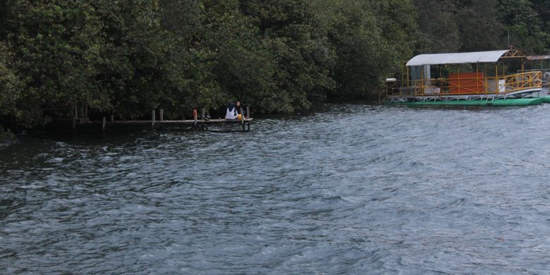 Danau Matano dikelilingi pepohonan yang asri. Danau Matano berada di atas pegunungan verbek Sorowako, Kabupaten Luwu Timur, Sulawesi Selatan.