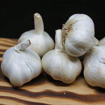 Ilustrasi khasiat bawang putih