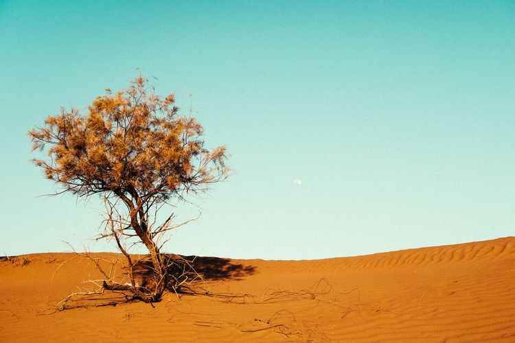 Ilustrasi gurun pasir di Irak