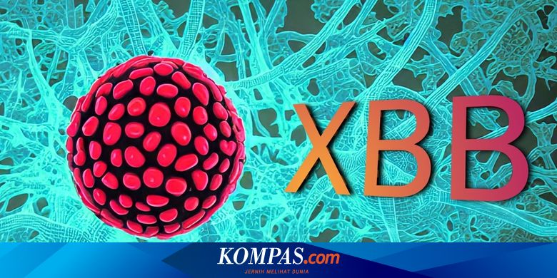 Positif Covid-19 Bertambah 4.151 Kasus, 35 Orang Meninggal