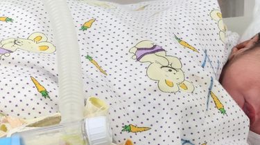 Pembuang Bayi Terbungkus Karung Bulog di Sentani Ditangkap