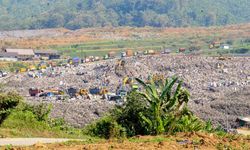 KLH Minta Pemda Waspadai Celah Kerugian Bisnis Perdagangan Karbon