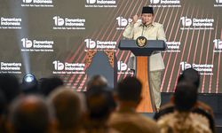 Danantara Incar Investasi Energi Rp 518,74 T Singapura, Proyek Panel Surya Terbesar ASEAN