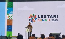 Pemerintah Targetkan Pertumbuhan Ekonomi 8 Persen pada 2029 Lewat Hilirisasi Sawit