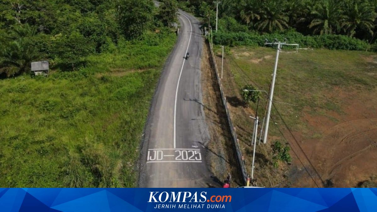 IJD Kotabaru Telan APBN Rp 23,7 Miliar, Permudah Distribusi Kayu Arang Ekspor