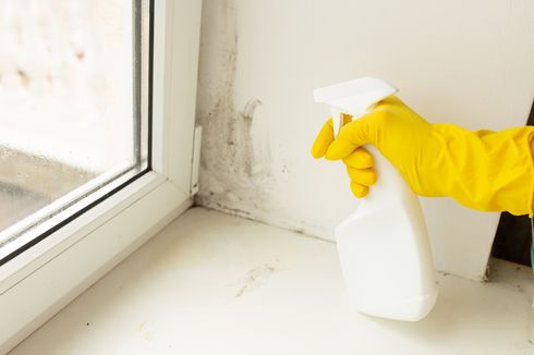 Penyebab Bau Apak di Rumah dan Cara Menghilangkannya