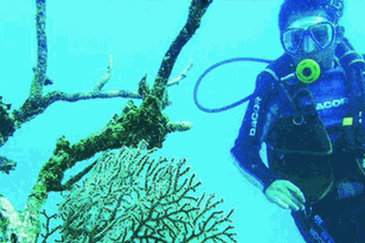 Penyelam pada kedalaman sekitar 18 meter di perairan Pulau Pasumpahan, Kota Padang, Sumatera Barat. Wilayah pulau itu berikut kawasan perairannya relatif ideal untuk dimanfaatkan sebagai lokasi wisata selam bagi pemula.