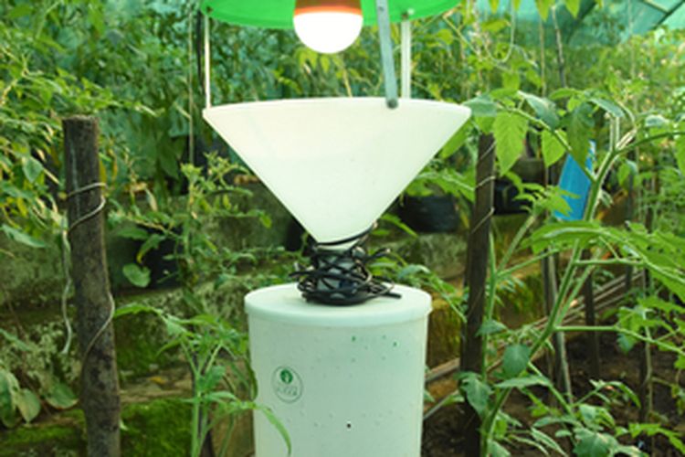 Ilustrasi perangkap lampu untuk mengatasi serangan hama