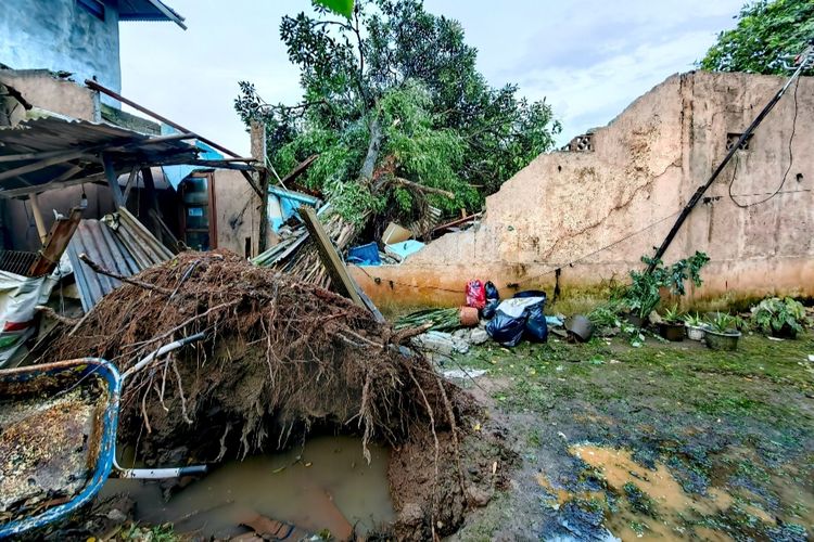 Hujan deras disertai angin kencang mengakibatkan pohon tumbang di Jalan Petenggangan RT 003 RW 007, Srengseng Sawah, Jagakarsa, Jakarta Selatan, Senin (19/9/2022) sore. 
