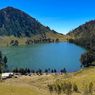 Kabar Pohon Tumbang di Ranu Kumbolo akan Dihilangkan, Ini Tanggapan TNBTS