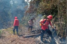 Karhutla di Kampar Riau, Api Berhasil Padam dan Polisi Selidiki Pelaku