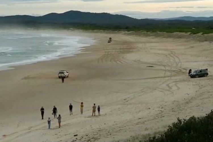 Awal tahun ini seorang peselancar remaja dibunuh oleh hiu di lepas pantai New South Wales. 
