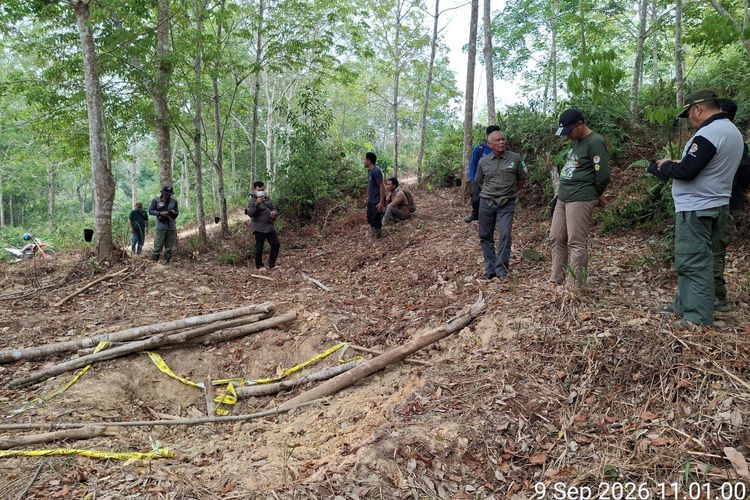 Anak Gajah Mati di Kebun Karet Jambi, Gakkum Dalami Dugaan Kelalaian