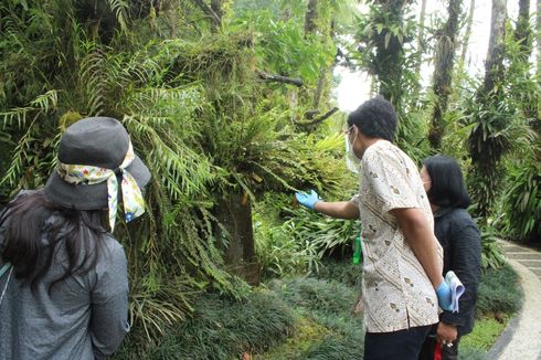 Menjelajahi Kebun Raya Bali, Wisata Berbasis Edukasi dengan 