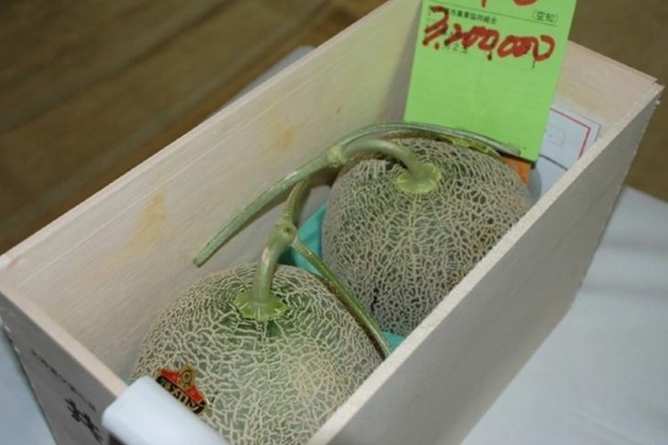 Sepasang buah melon Yubari yang terkenal sebagai buah premium terjual dengan harga Rp 413 juta dalam sebuah pelelangan di Jepang.
