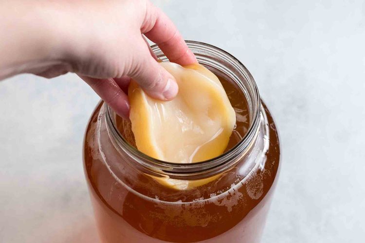 Ilustrasi scoby, biang untuk membuat kombucha.