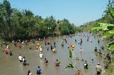 Tradisi Tubo, Ketika Ribuan Orang Berebut Ikan di Sungai