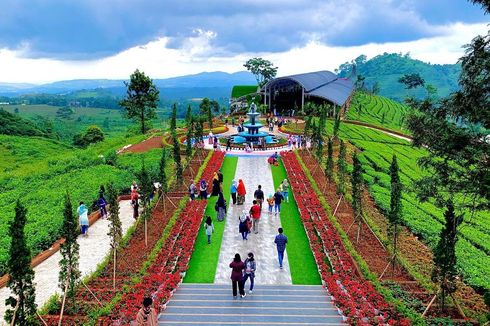 Panduan Wisata ke Florawisata D’Castello Ciater, buat Liburan Keluarga