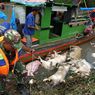 Kaleidoskop 2020, Puluhan Ribu Babi Mati, Pembunuhan Hakim PN Medan hingga Banjir di De Flamboyan