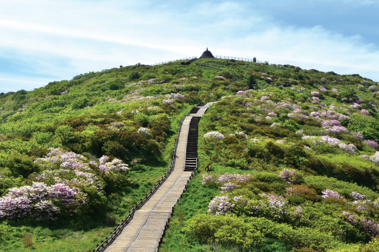 Gunung Jiri, Korea Selatan DOK. visitkorea.or.kr