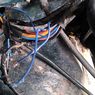 Cara Mencegah Tikus Masuk ke Mesin Mobil di Rumah