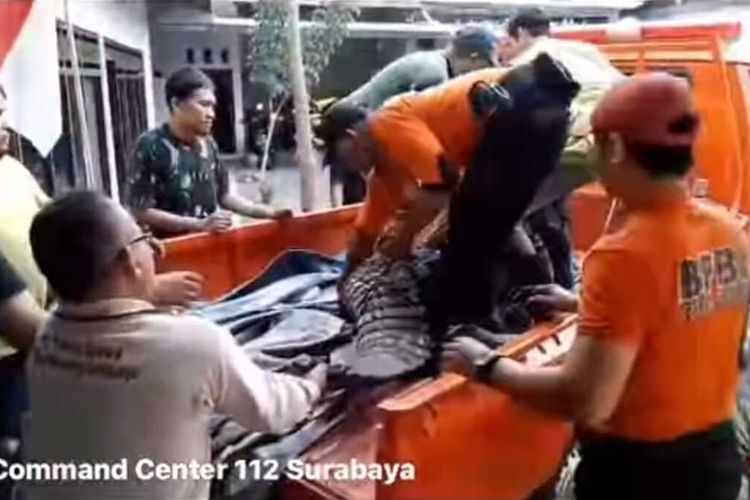 Potongan video evakuasi buaya dari rumah warga di Surabaya, Jumat (10/11/2023)