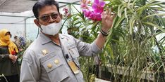 Mentan SYL Optimistis Indonesia Jadi Eksportir Besar Tanaman Tropis
