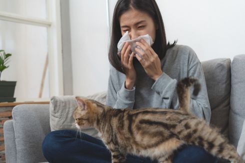 Ketahui, Tanda Kita Alergi Bulu Binatang Peliharaan dan Solusinya