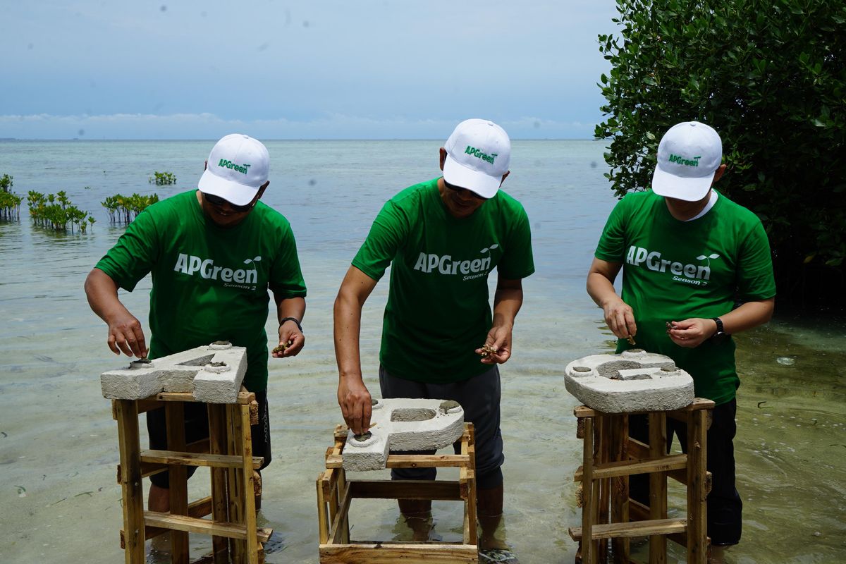 Penanaman mangrove dalam program APGreen bertujuan mencegah abrasi dan menciptakan habitat bagi berbagai biota laut. 