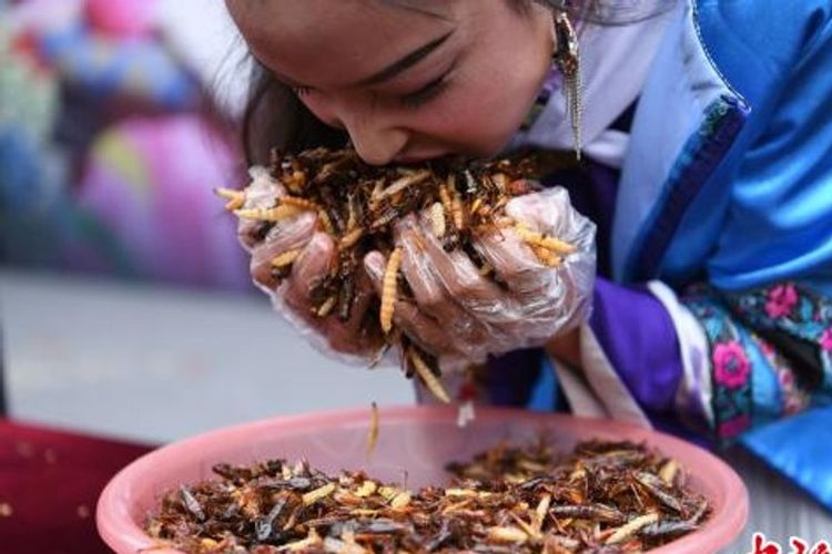 Para turis ditantang makan serangga untuk mendapatkan emas batangan.