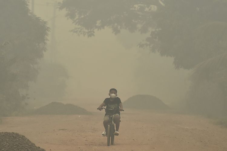 Kemenag Siapkan PJJ bagi Pesantren Terdampak Karhutla di Sumatera, Kalimantan, dan Sulawesi