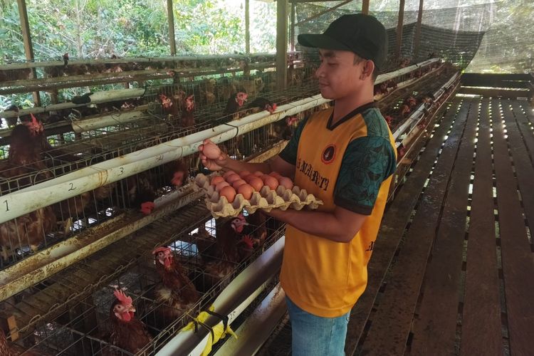 Lulusan SMK Maharati, Andika menunjukkan telur dari peternakan ayam miliknya yang berada di Desa Buhut, Kapuas Tengah, Kabupaten Kapuas.