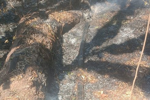 Kebakaran Hutan Lindung Egon Ilinmedo Sikka Sebabkan Warga 2 Desa Krisis Air
