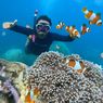 Tips Snorkeling di Karimunjawa, Jangan Sampai Rusak Terumbu Karang