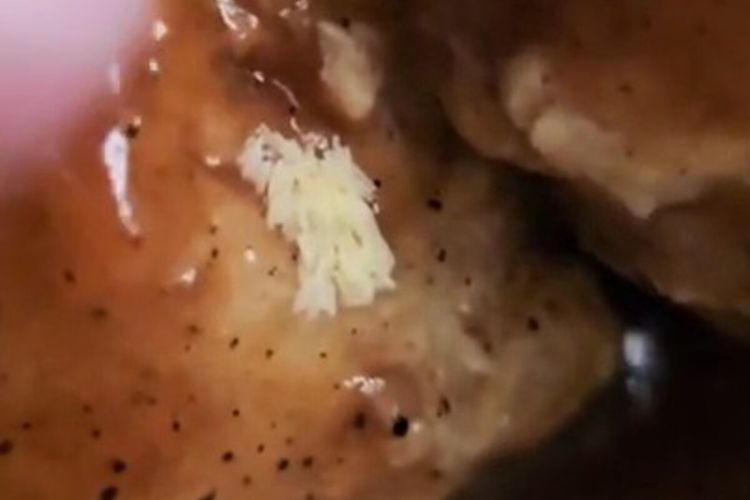 Tangkapan layar diduga telur lalat dalam MBG di SMP N 2 Sewon, Bantul