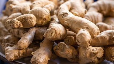 Cara Menanam Jahe dari Rimpang yang Dibeli di Pasar