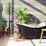 Ketahui 3 Tips Desain Interior yang Bikin Anda Bahagia