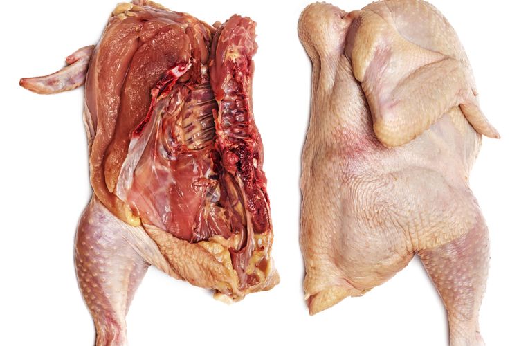ilustrasi ayam tiren, contoh produk pemalsuan pangan jenis concealment. 
