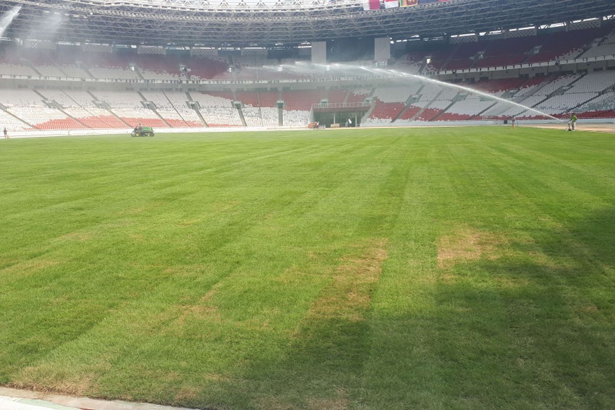 Stadion Utama Gelora Bung Karno menggunakan jenis rumput baru yakni Zeon Zoysia yang diklaim sebagai jenis rumput terbaik di dunia dengan biaya perawatan murah. Foto diambil Selasa (4/9/2018).