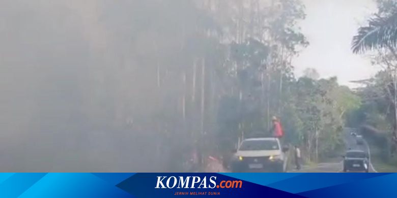 Hutan Bukit Soeharto di Kaltim Terbakar, Arus Kendaraan Terganggu