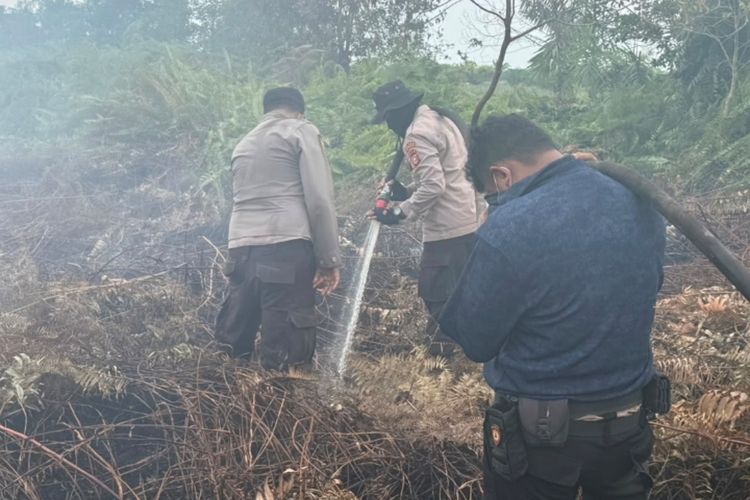 80 Hektar Lahan Terbakar di Bengkalis Riau, Ratusan Petugas dan 3 Helikopter Dikerahkan