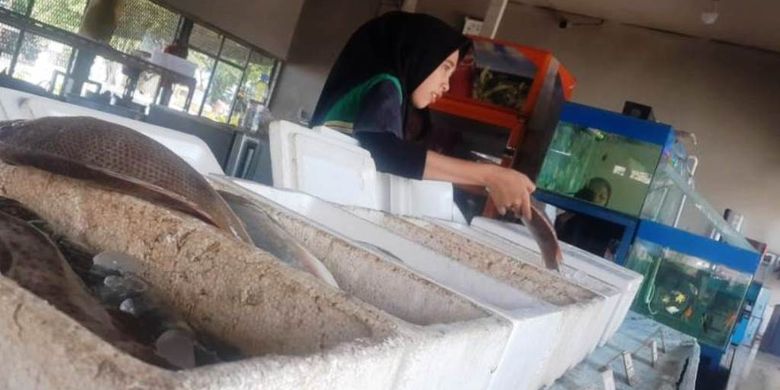 Memilih ikan di Warung Jaring Pukat, Jalan Pelabuhan, Kota Lhokseumawe, Aceh, Selasa (26/6/2019). 