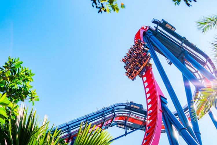 SheiKra Roller Coaster salah satu yang paling diingat di Florida