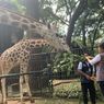 Kebun Binatang Ragunan Buka Hari Ini, Catat Harga Tiketnya